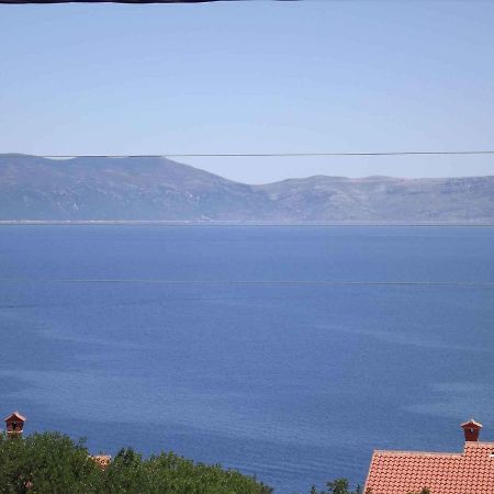 Apartments In Ravni/Istrien 30383 Εξωτερικό φωτογραφία